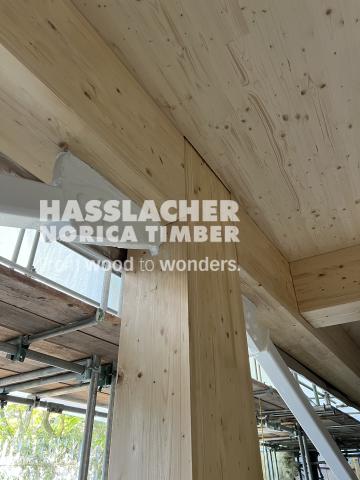 Paradise SE11 Paradise SE11