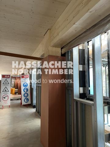 Paradise SE11 Paradise SE11