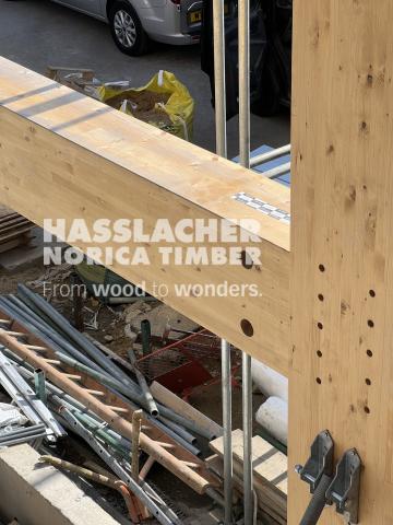 Paradise SE11 Paradise SE11