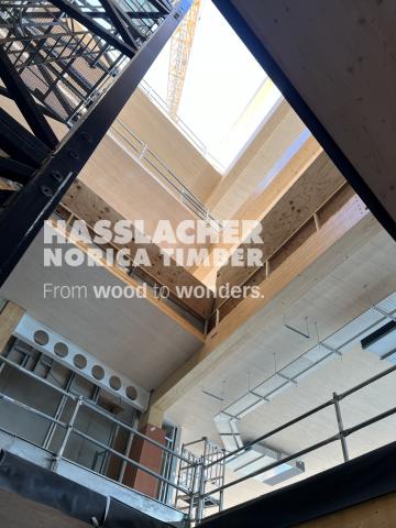 Paradise SE11 Paradise SE11