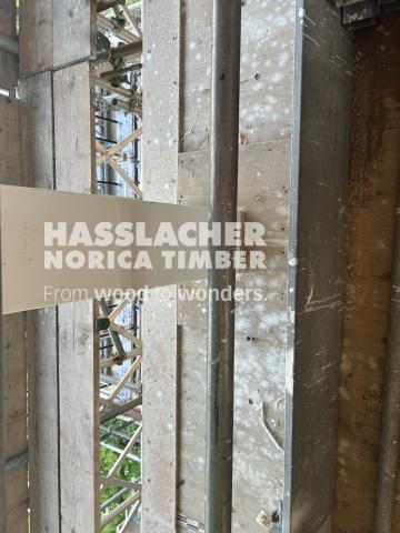 Paradise SE11 Paradise SE11