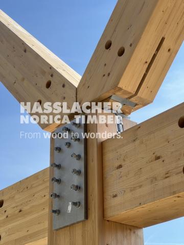 Paradise SE11 Paradise SE11