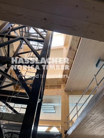 Paradise SE11 Paradise SE11