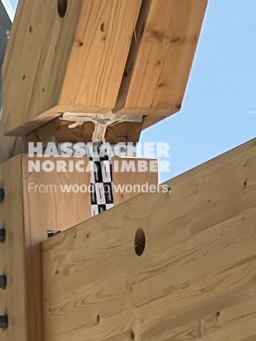 Paradise SE11 Paradise SE11