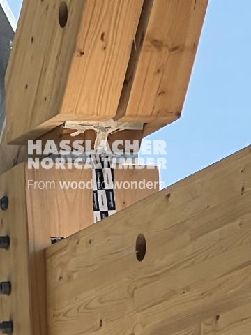 Paradise SE11 Paradise SE11