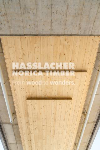 Holz-Beton-Verbundbrücke S 37	