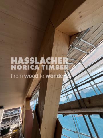 Paradise SE11 Paradise SE11