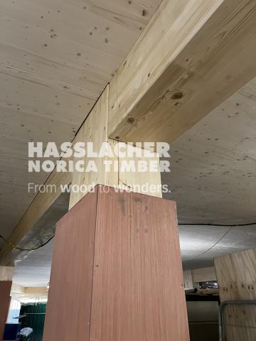 Paradise SE11 Paradise SE11