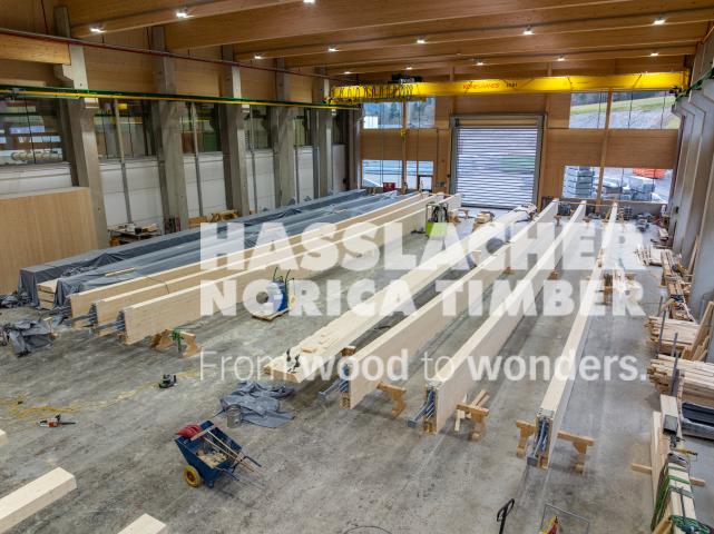 Radwegbrücke F203 Bertem Radwegbrücke F203 Bertem