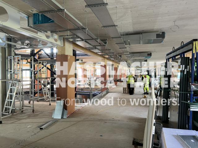 Paradise SE11 Paradise SE11