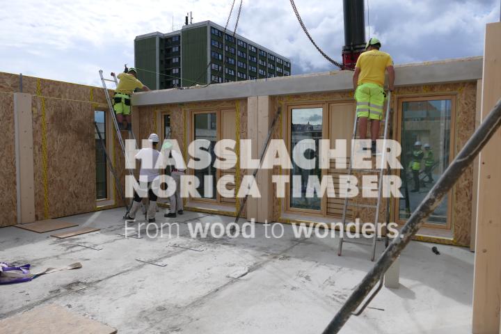 CREE Østerbrogade 190 Kopenhagen CREE Østerbrogade 190 Kopenhagen