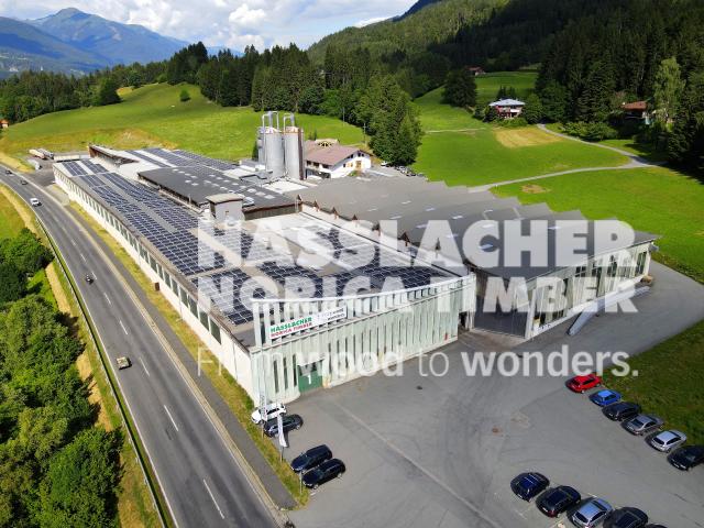 BSH Sonderbauteile, HASSLACHER Holzbausysteme GmbH
