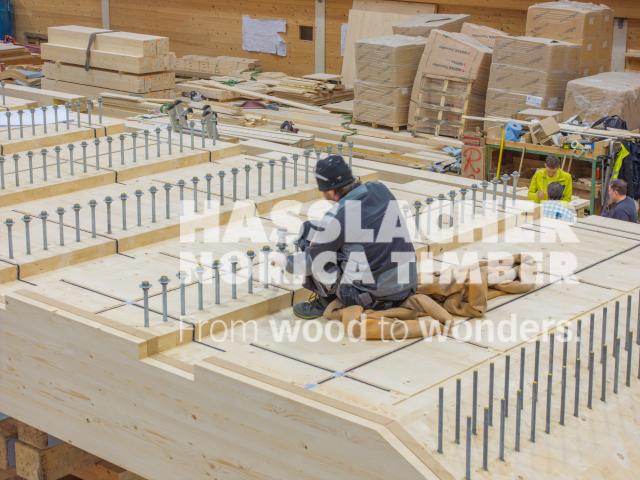 Holz-Beton-Verbundbrücke S 37 Holz-Beton-Verbundbrücke S 37