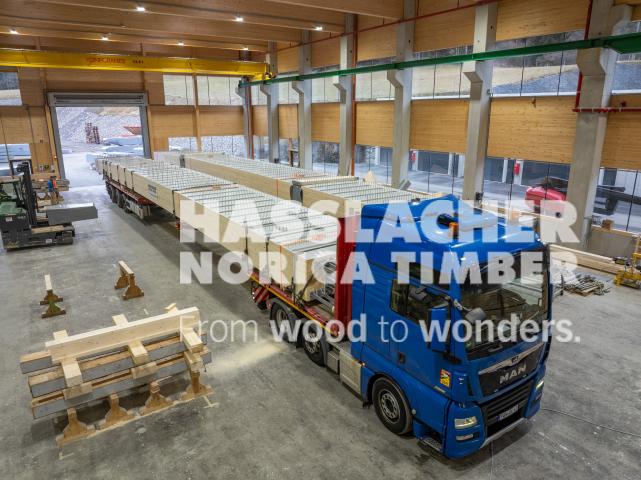 Radwegbrücke F203 Bertem Radwegbrücke F203 Bertem