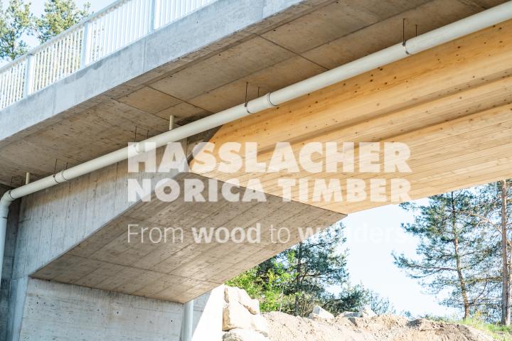 Holz-Beton-Verbundbrücke S 37 Holz-Beton-Verbundbrücke S 37