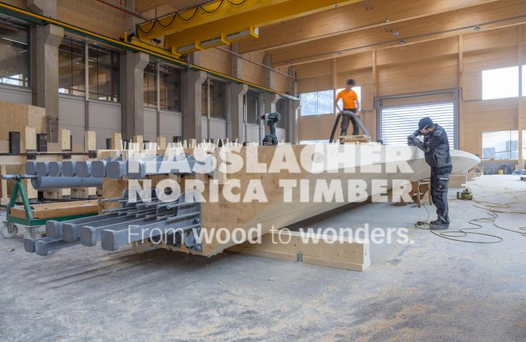 Radwegbrücke F203 Bertem Radwegbrücke F203 Bertem