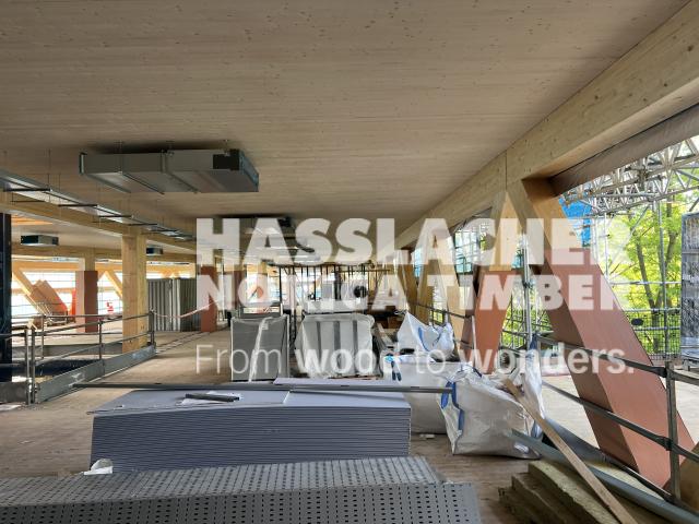 Paradise SE11 Paradise SE11