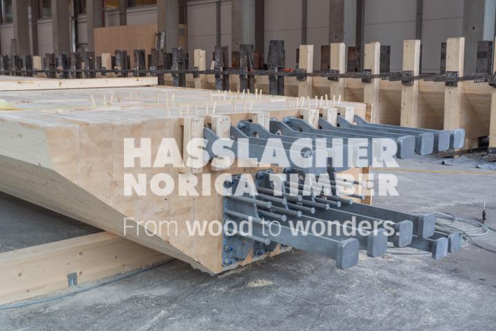 Radwegbrücke F203 Bertem Radwegbrücke F203 Bertem