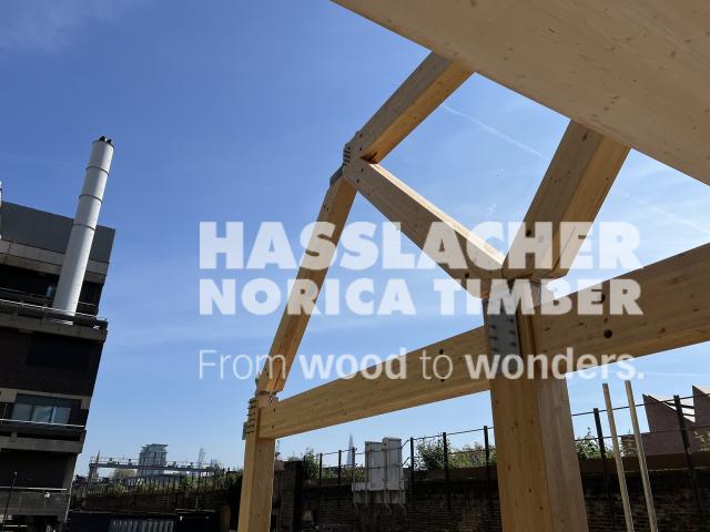 Paradise SE11 Paradise SE11