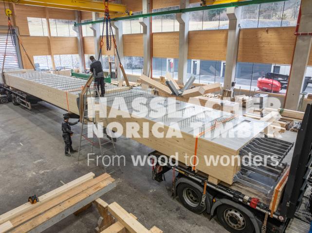 Radwegbrücke F203 Bertem Radwegbrücke F203 Bertem