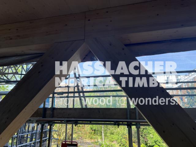 Paradise SE11 Paradise SE11