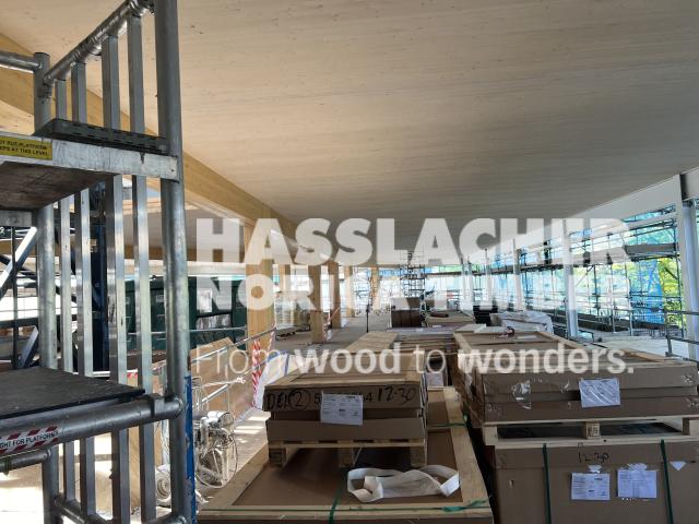 Paradise SE11 Paradise SE11