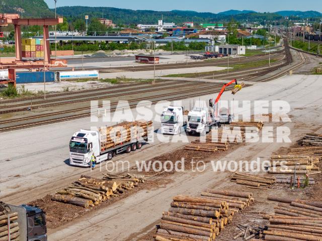 HNT STA AT SBG Beladung Fürnitz Rundholz HNT STA AT SBG Beladung Fürnitz Rundholz