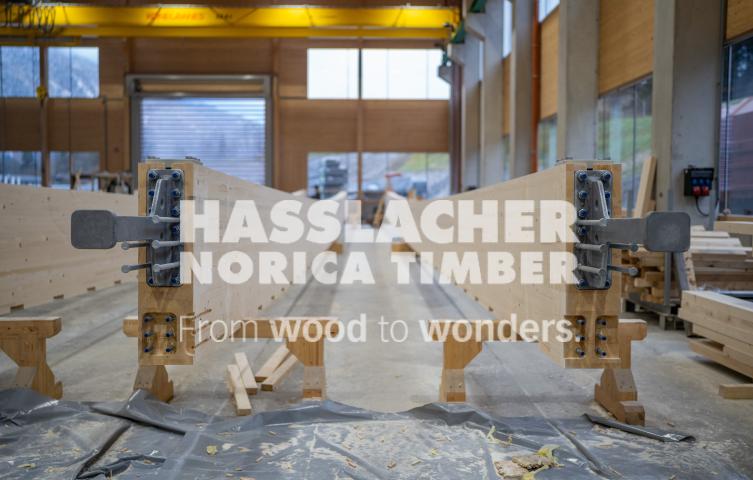 Radwegbrücke F203 Bertem Radwegbrücke F203 Bertem