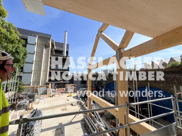 Paradise SE11 Paradise SE11