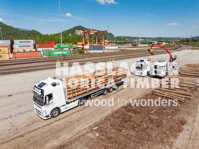 HNT STA AT SBG Beladung Fürnitz Rundholz HNT STA AT SBG Beladung Fürnitz Rundholz