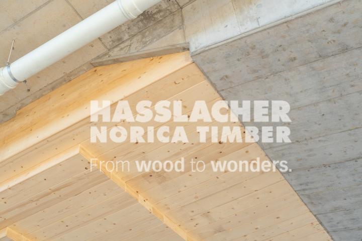 Holz-Beton-Verbundbrücke S 37 Holz-Beton-Verbundbrücke S 37