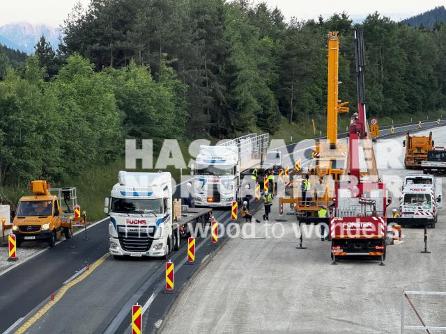 Green Gantry S37 Green Gantry S37