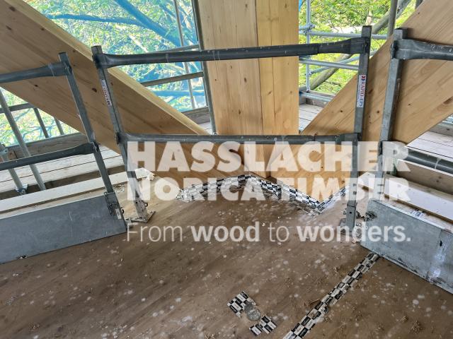 Paradise SE11 Paradise SE11