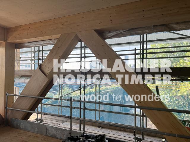 Paradise SE11 Paradise SE11